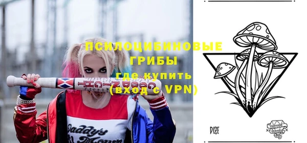 СК Лихославль