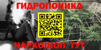 дурь Шахты
