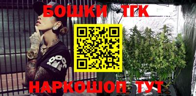 прущие грибы Шелехов