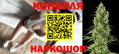 прущие грибы Шелехов