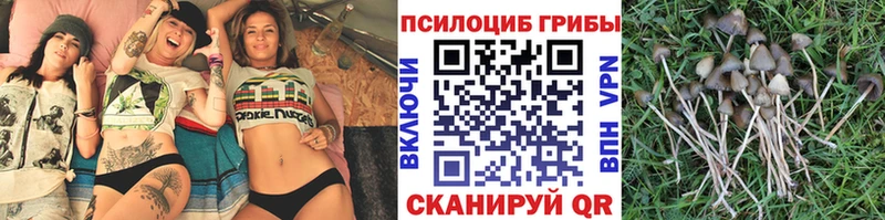 Псилоцибиновые грибы мухоморы  закладка  Альметьевск 
